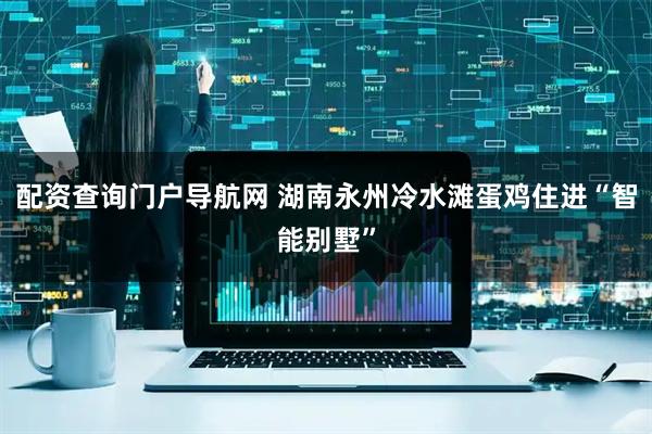 配资查询门户导航网 湖南永州冷水滩蛋鸡住进“智能别墅”